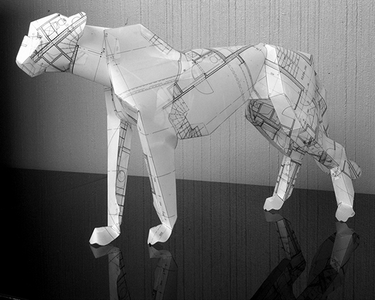 Puma _2013